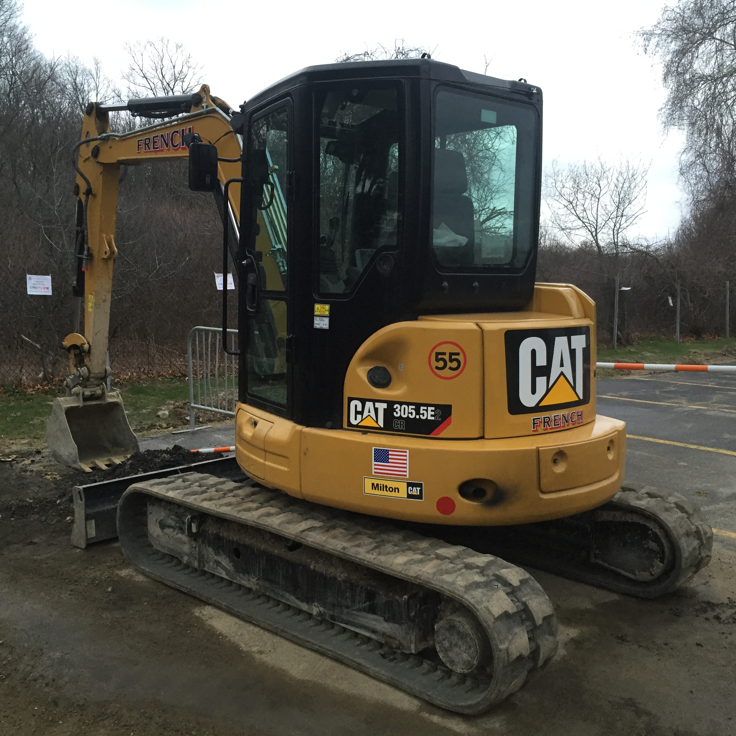 Cat 305.jpg