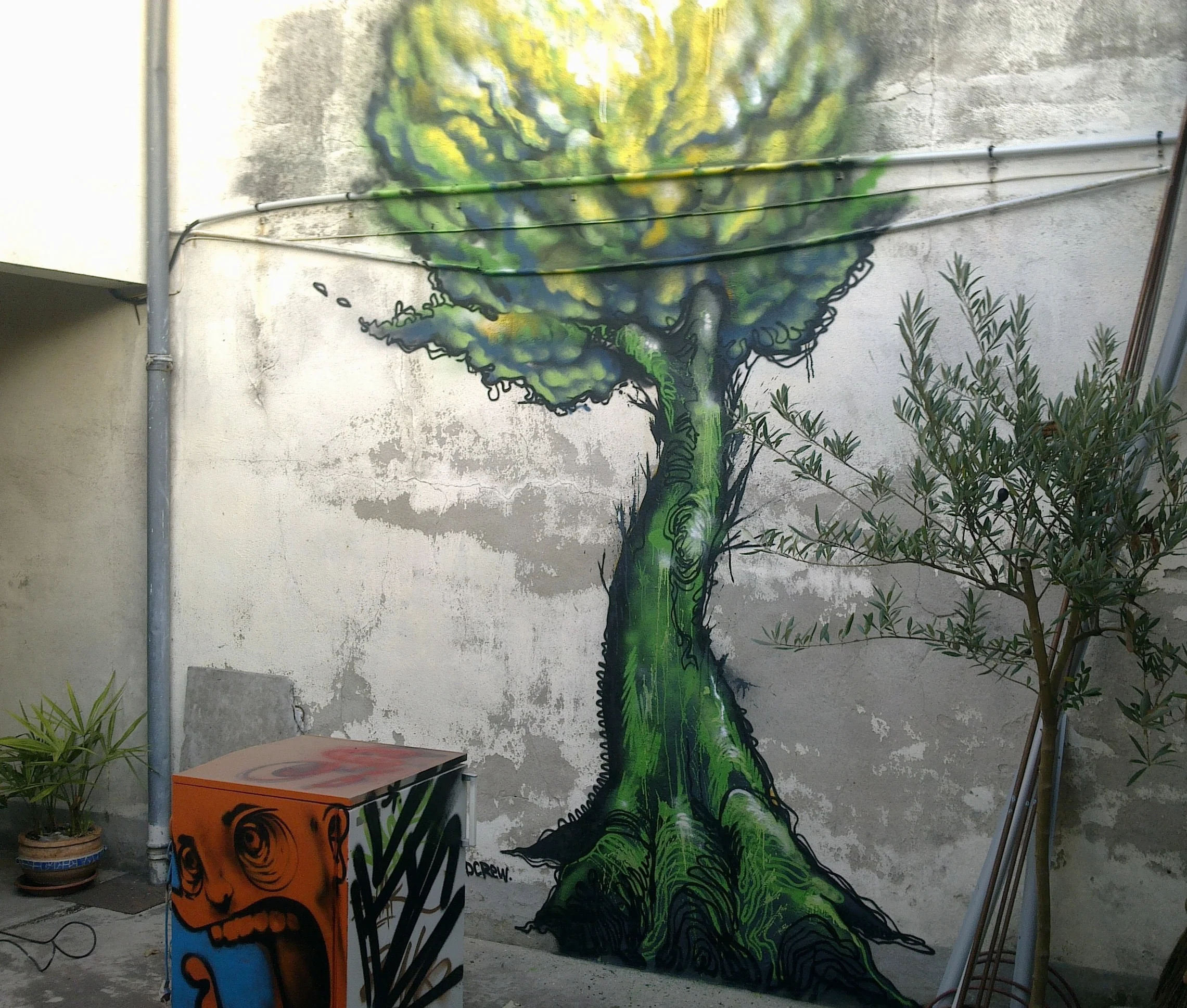 Janvier 2011 - Toulouse 