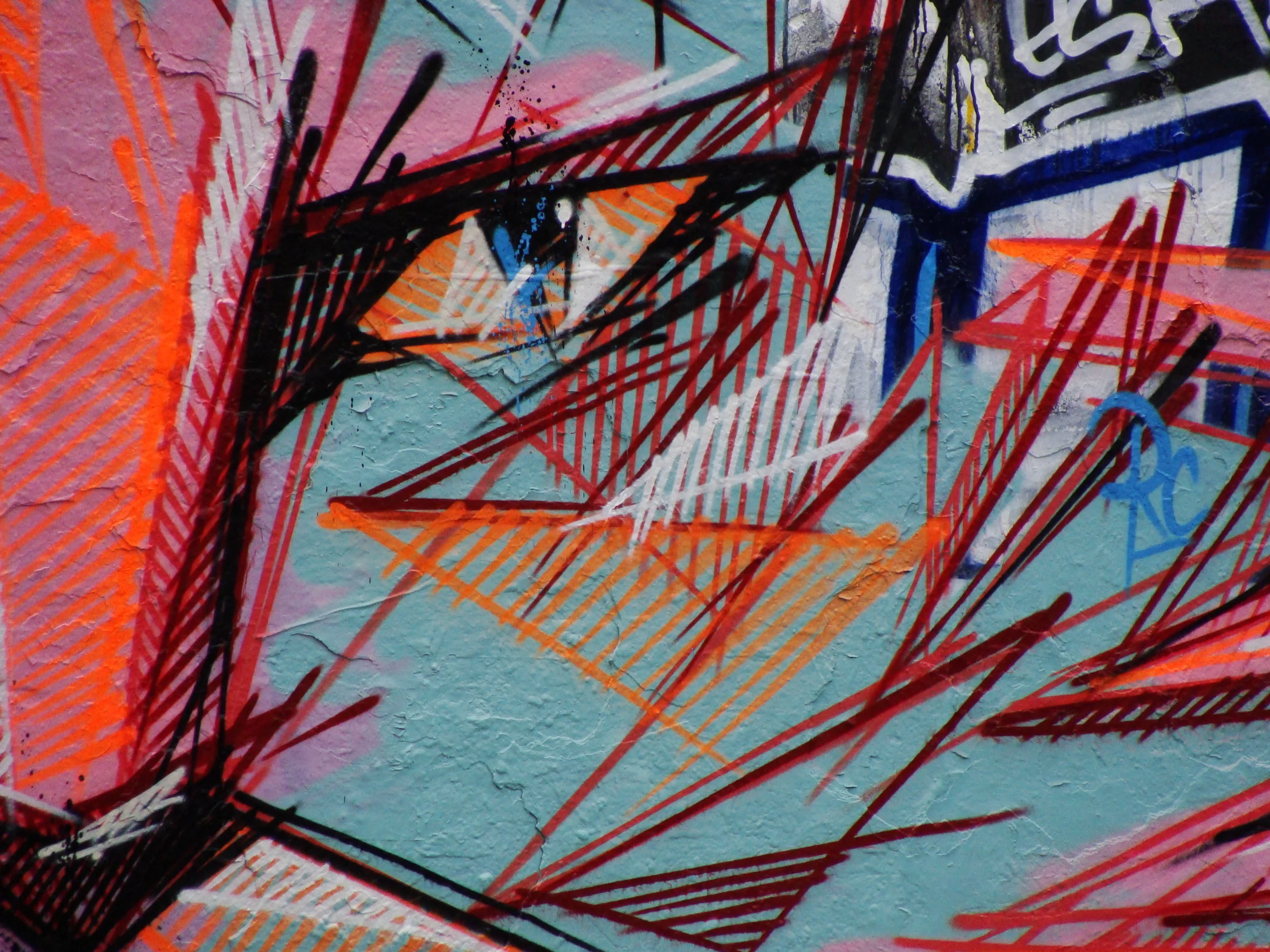 Novembre 2013 - Paris - Gros Chat