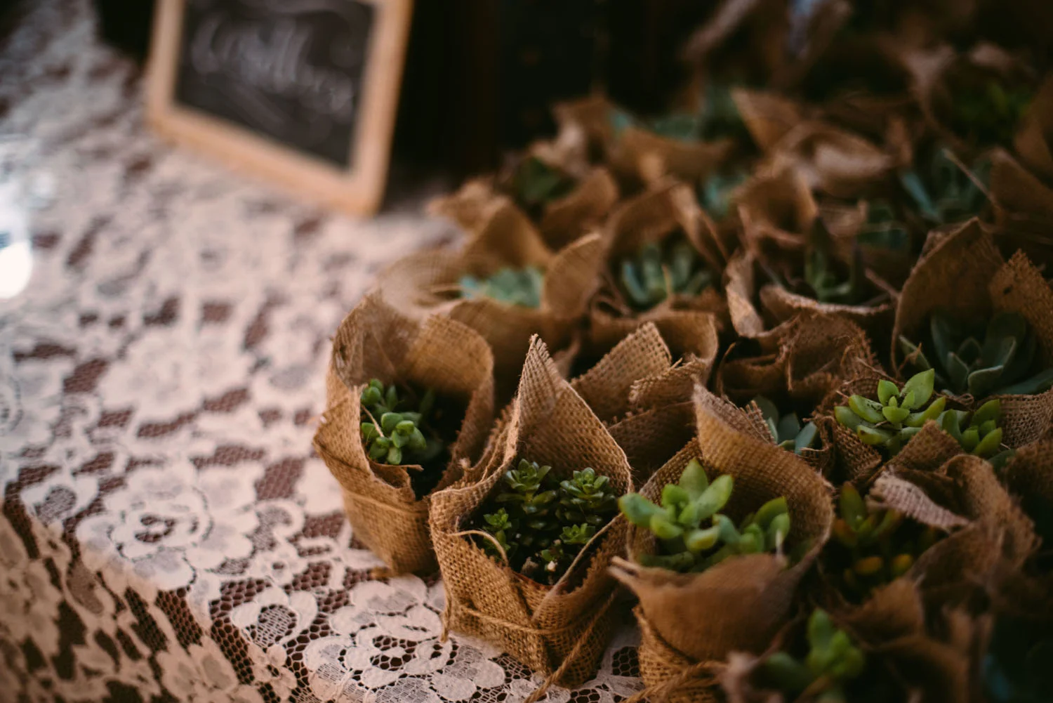 backyard-wedding-photographer.jpg