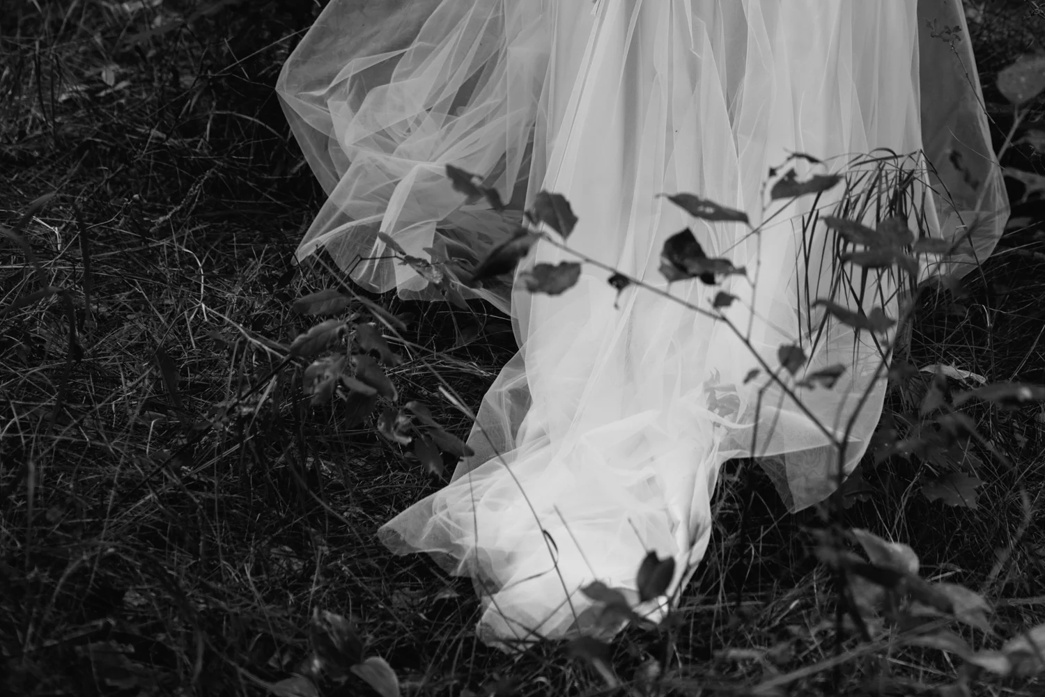 cabin-wedding-photographer-wisconsin-1-6.jpg
