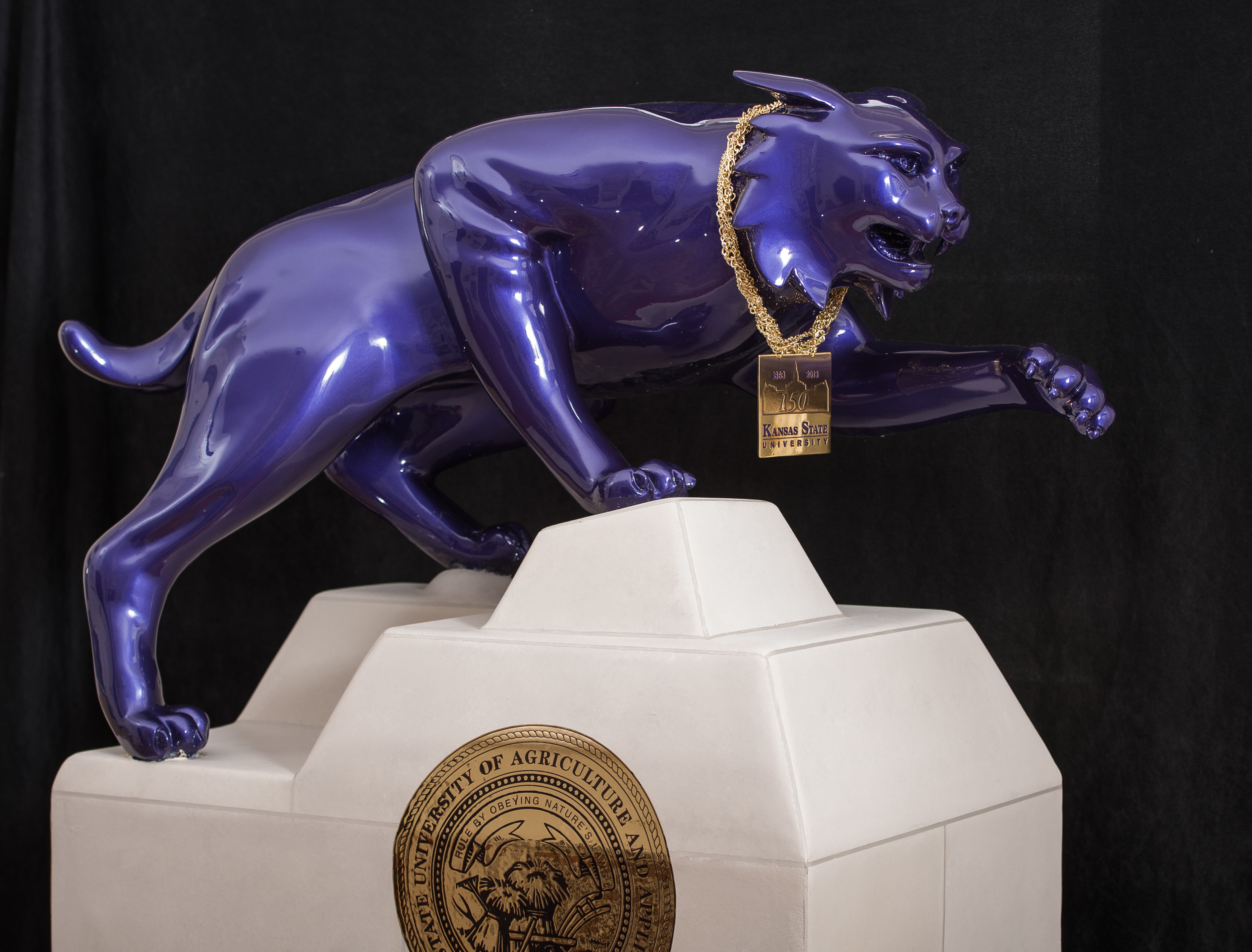 Kansas State Wildcat