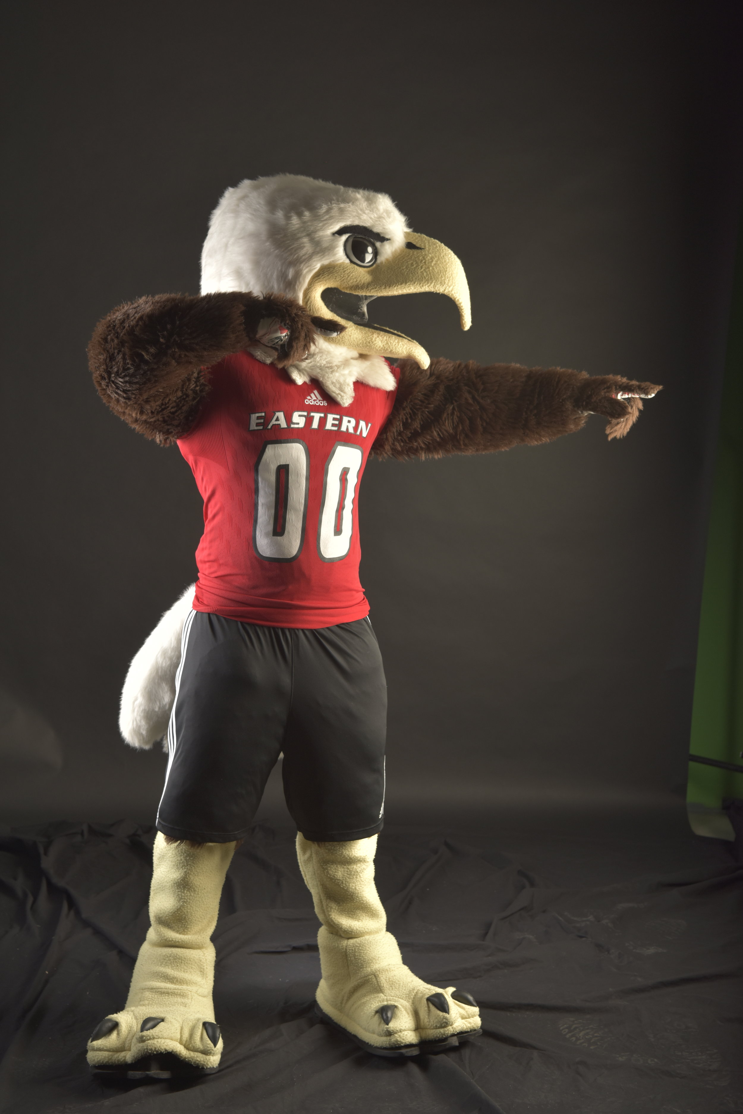 Swoop