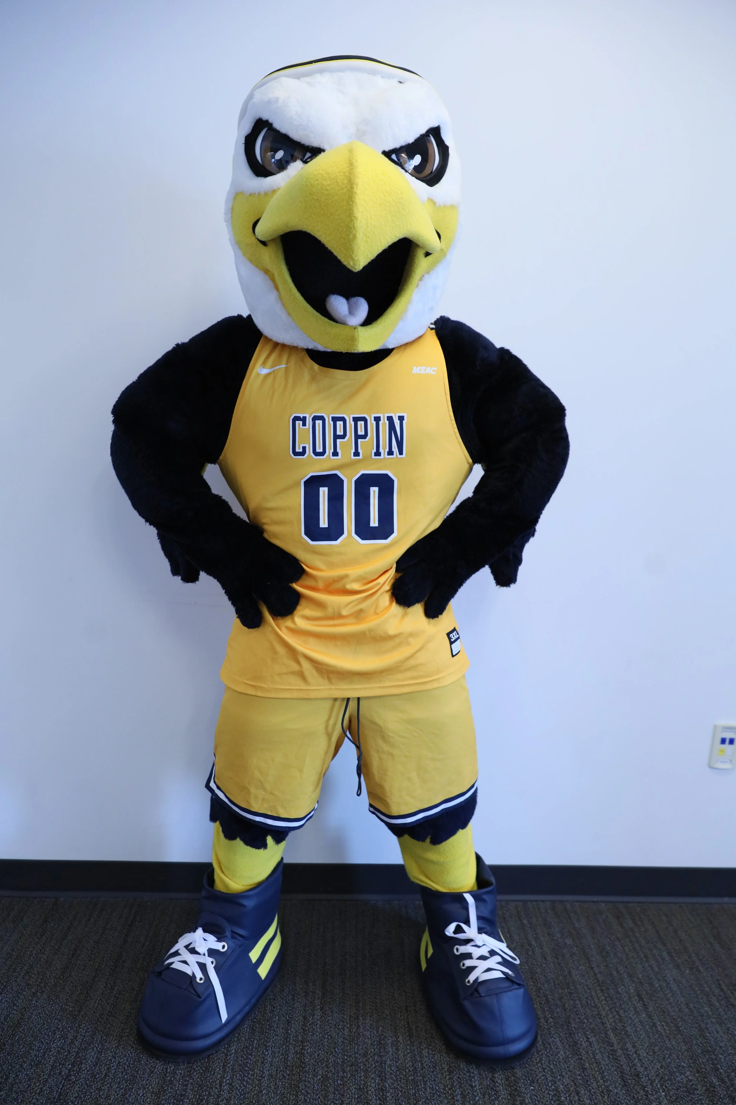 CSU_Mascot_hands_on_hips1.JPG