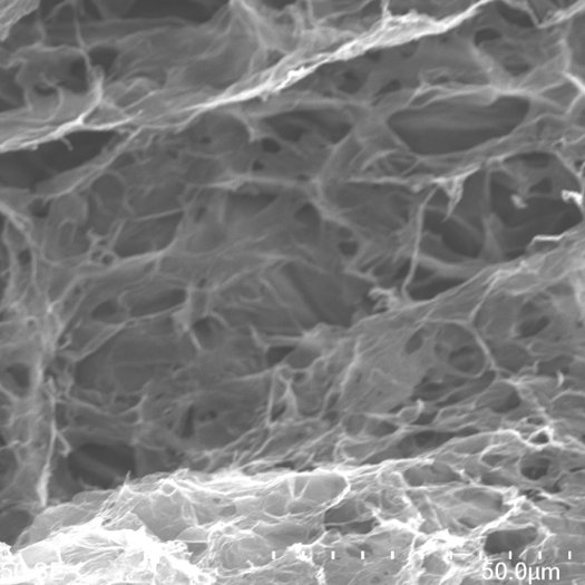 Internal structure of a graphene oxide hydrogel