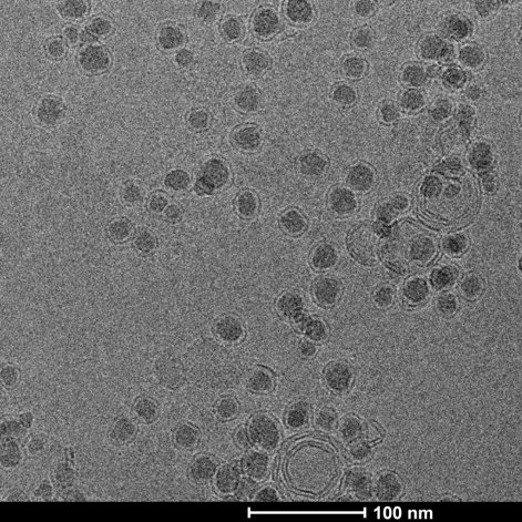 Silica nanoparticles coated with lipid bilayers
