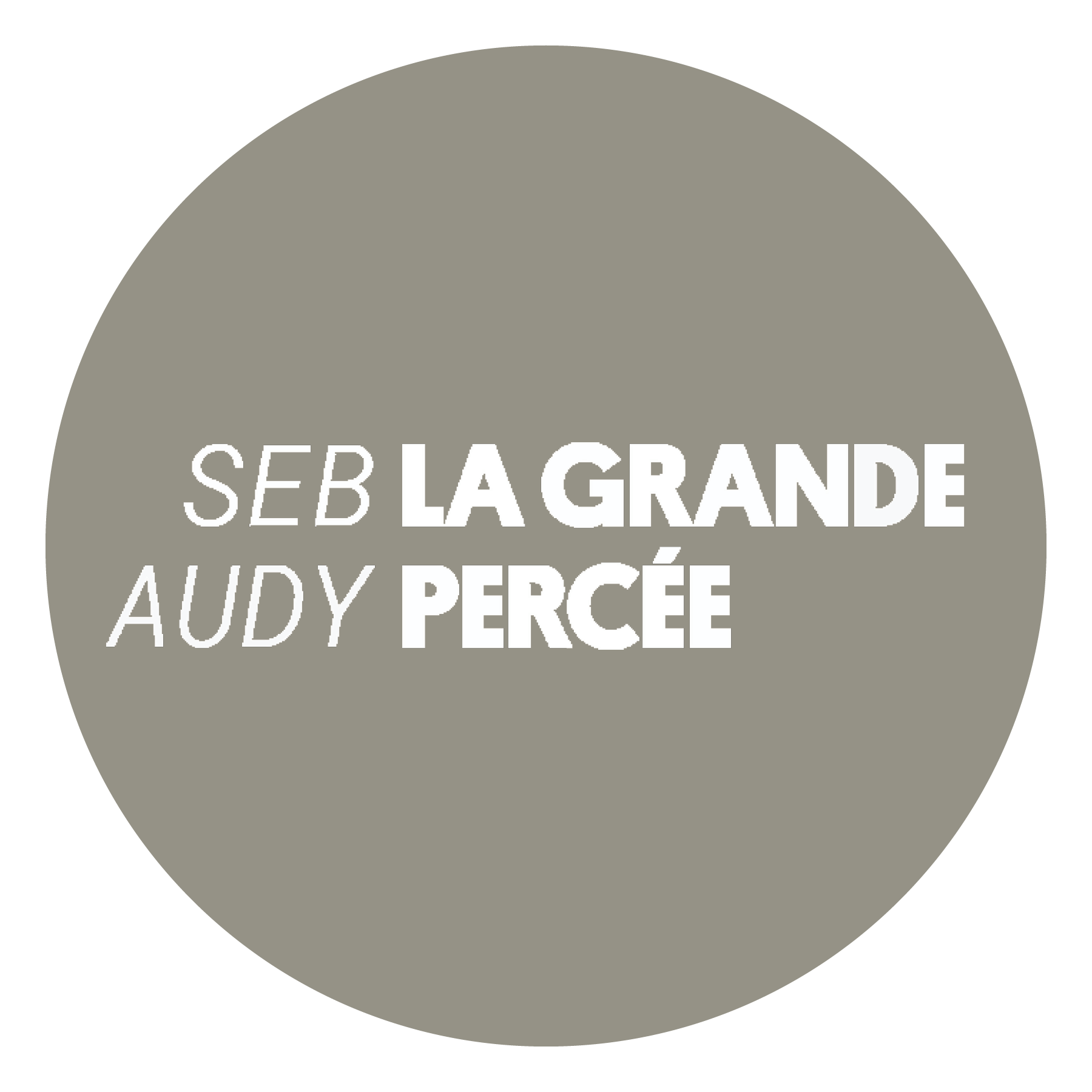 Single Light Gray Circle_seb audy.png