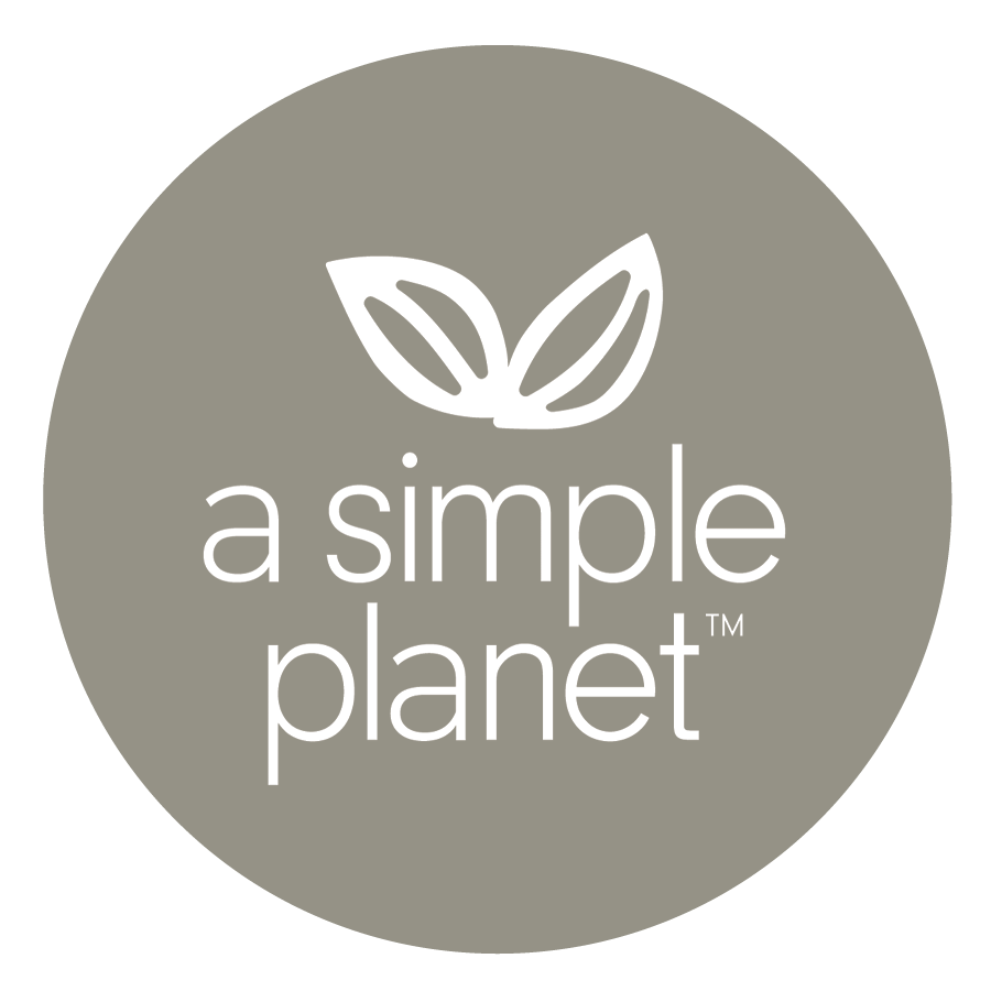 Single Light Gray Circle - A Simple Planet.png