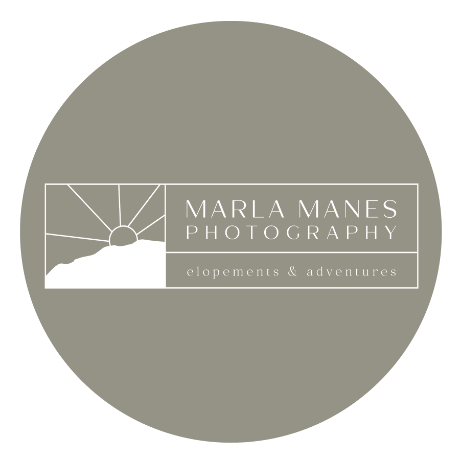 Single Light Gray Circle - Marla Manes Photography.png