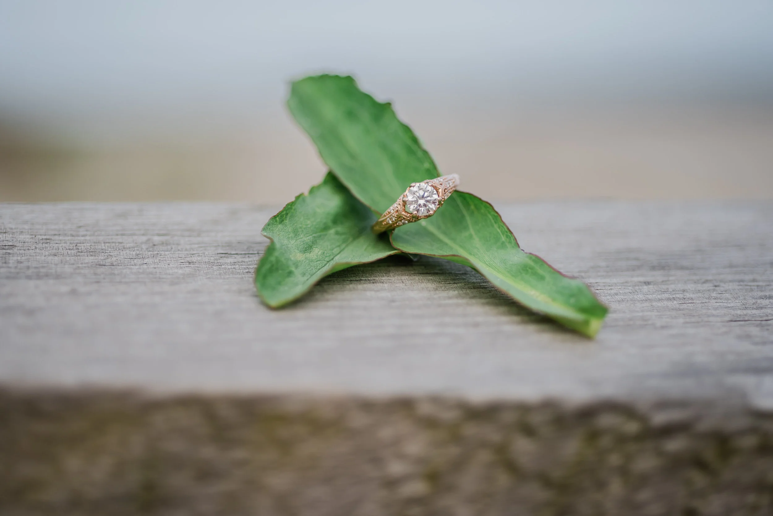 Kelsey Cody Ocean CIty NJ Engagement-Kelsey Cody Collard Engagement-0033.jpg