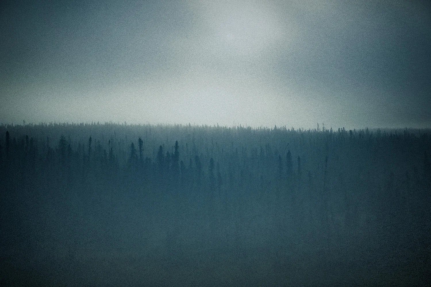5T6A0738_18x12.jpg