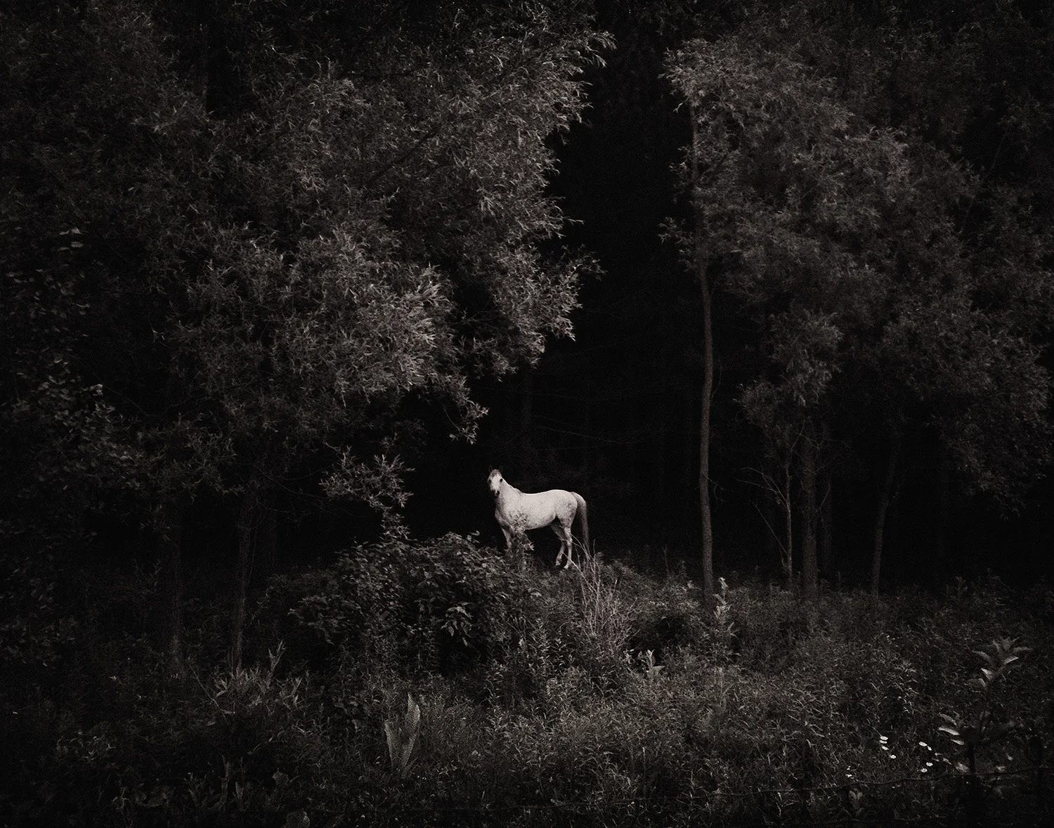03_18x14.25.jpg