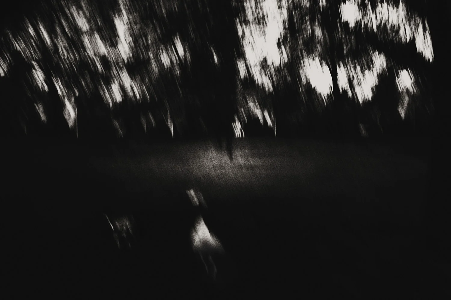17_18x12.jpg