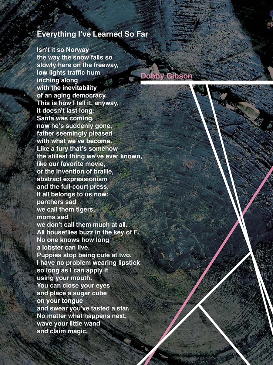 Issue 11 / Broadside by Layne Ransom