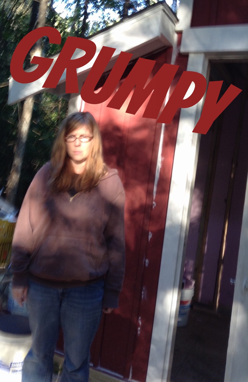 While building our tiny house in the woods Pauly vetoed one of my design ideas and immediately snapped this photo of the frowny aftermath. "I'm going to call this one 'Grumpy Dana!'" he said cheerfully.