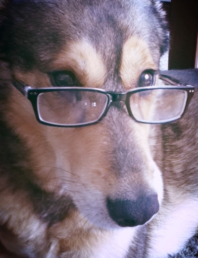 Our dog, Oslo, gone in body but not in spirit, is a master in seeing all things lovely, with or without spectacles.