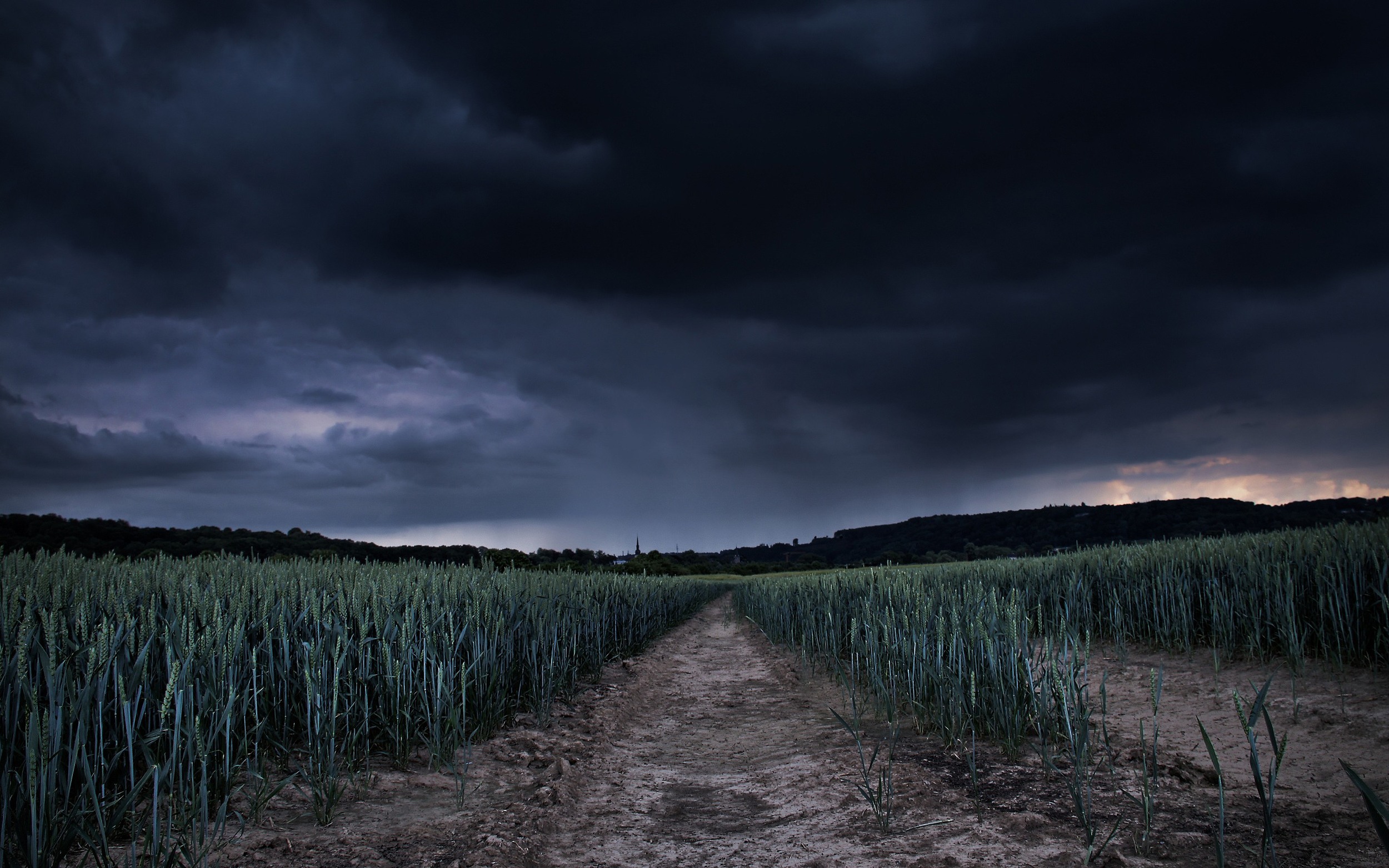 stormy-field.jpg