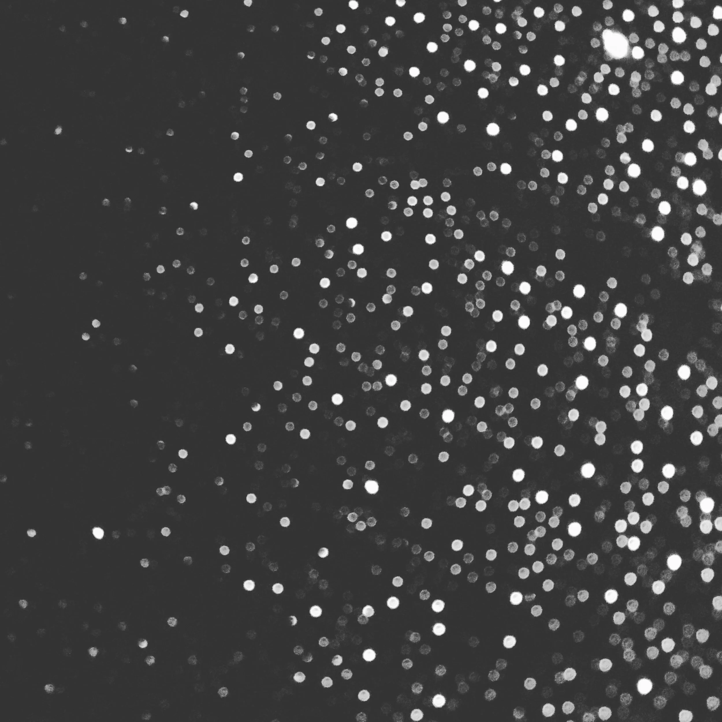 File Feb 06, 10 38 19 PM.jpeg