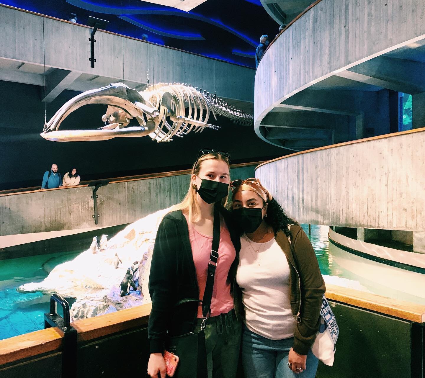 Our fellows turned Semester in the City into Semester in the Sea! 🐙🐠🌊 Check out some highlights form their community life trip to the New England Aquarium🫧