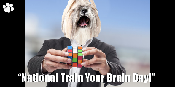 BossHam-Train-Your-Brain-TW.png