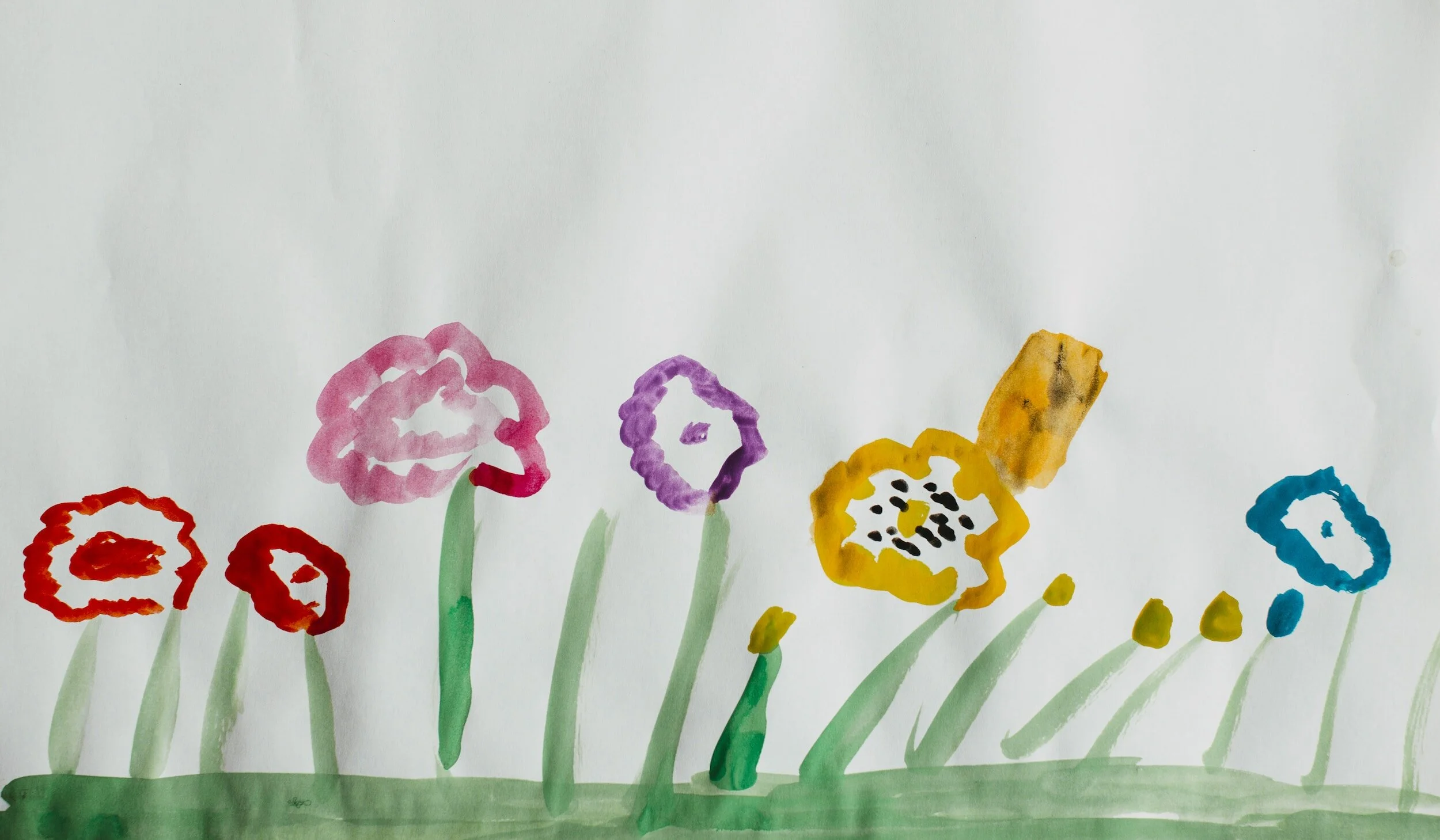 Michigan Infant and Early Childhood Mental Health Consultation