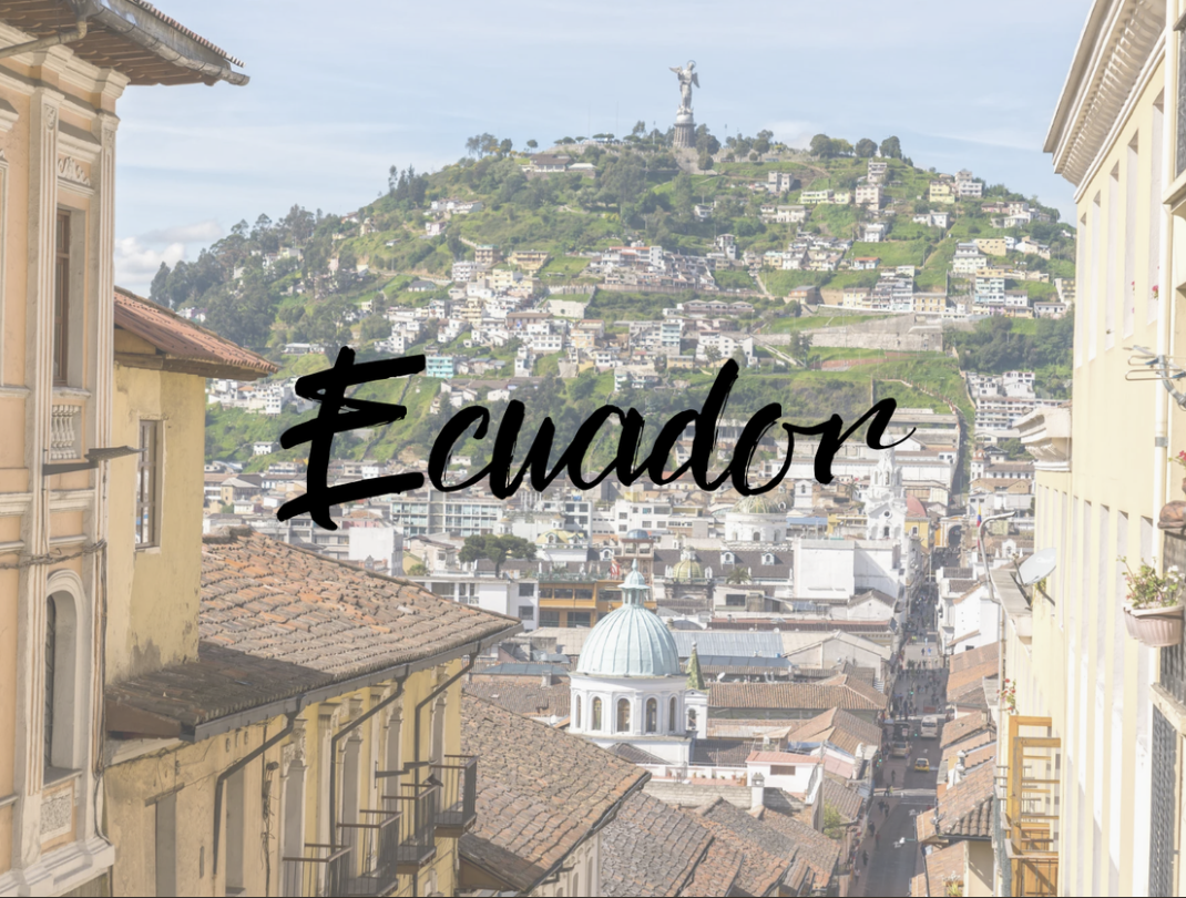 Screenshot 2026-01-21 at 14.39.17.png