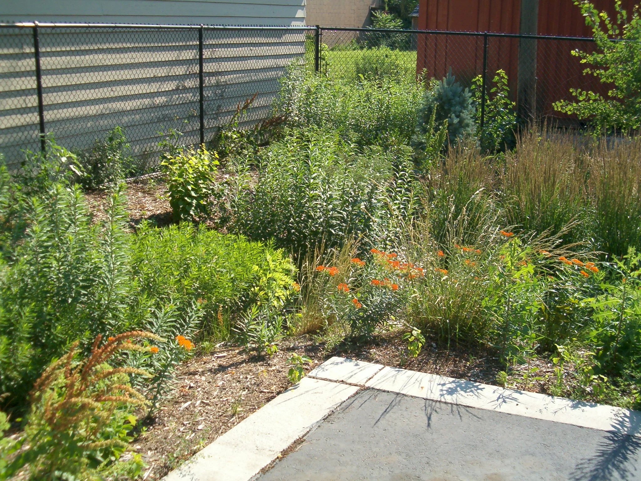 How to Manage Stormwater & Rain Planter Facelift Event