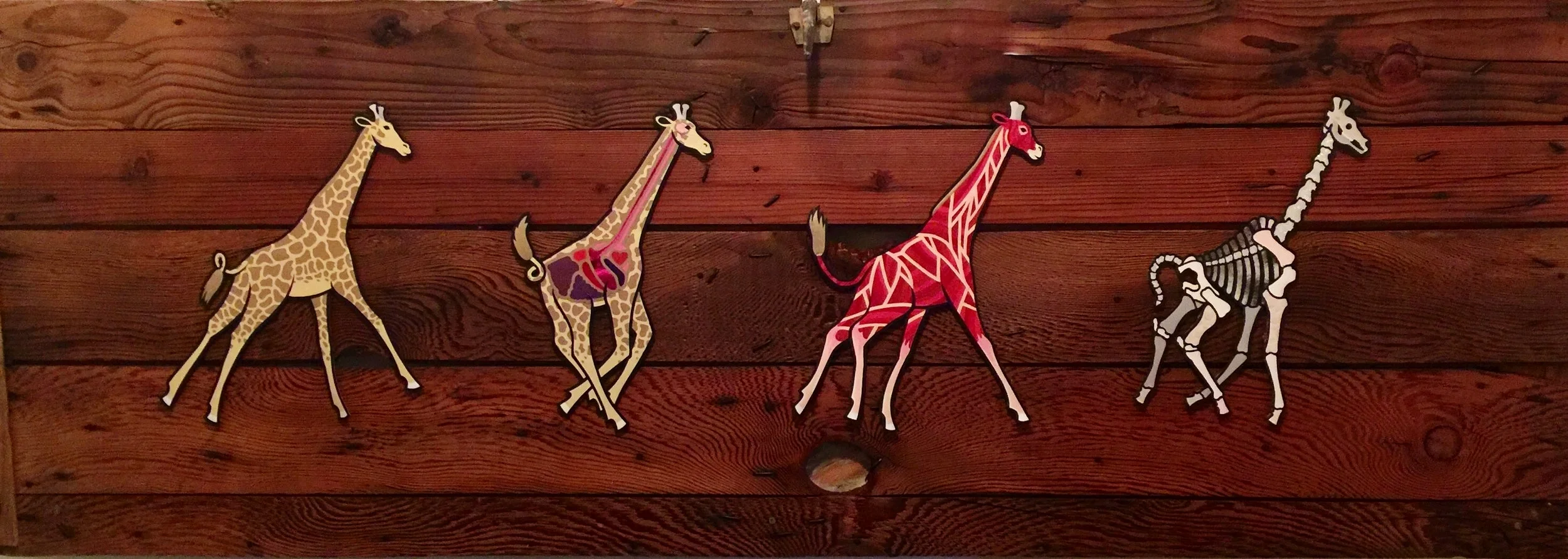 Giraffes - John Lucatorta 