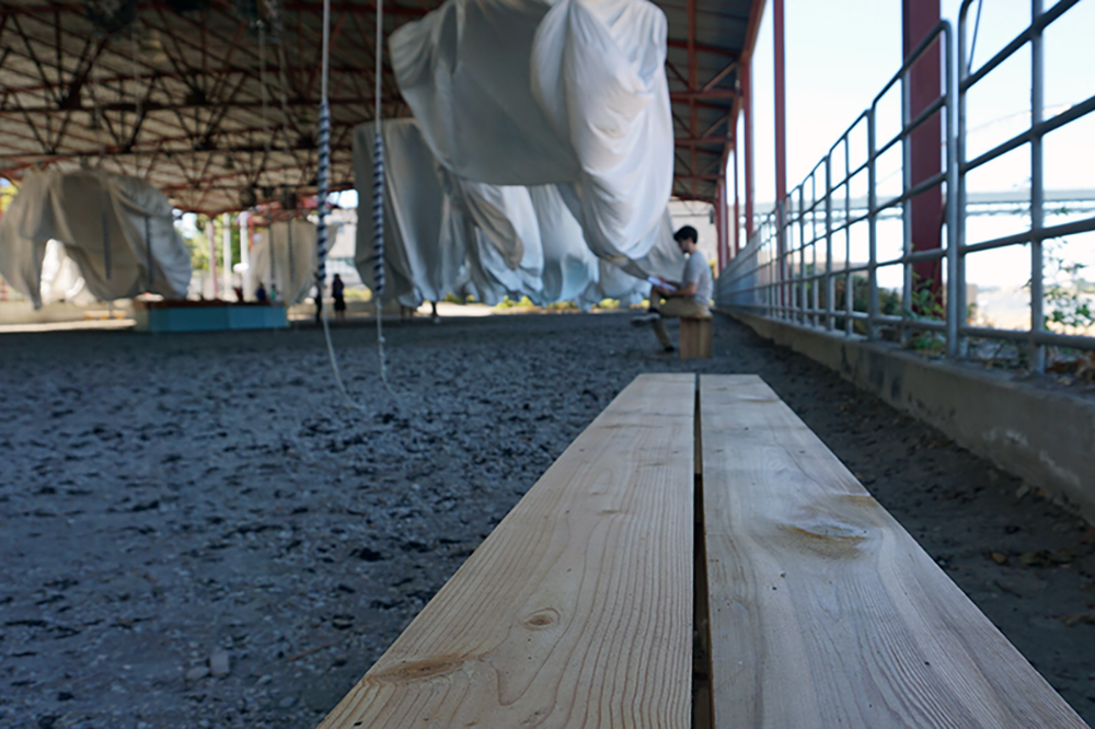 A ReBuilding Center Collaboration with Ann Hamilton: habitus