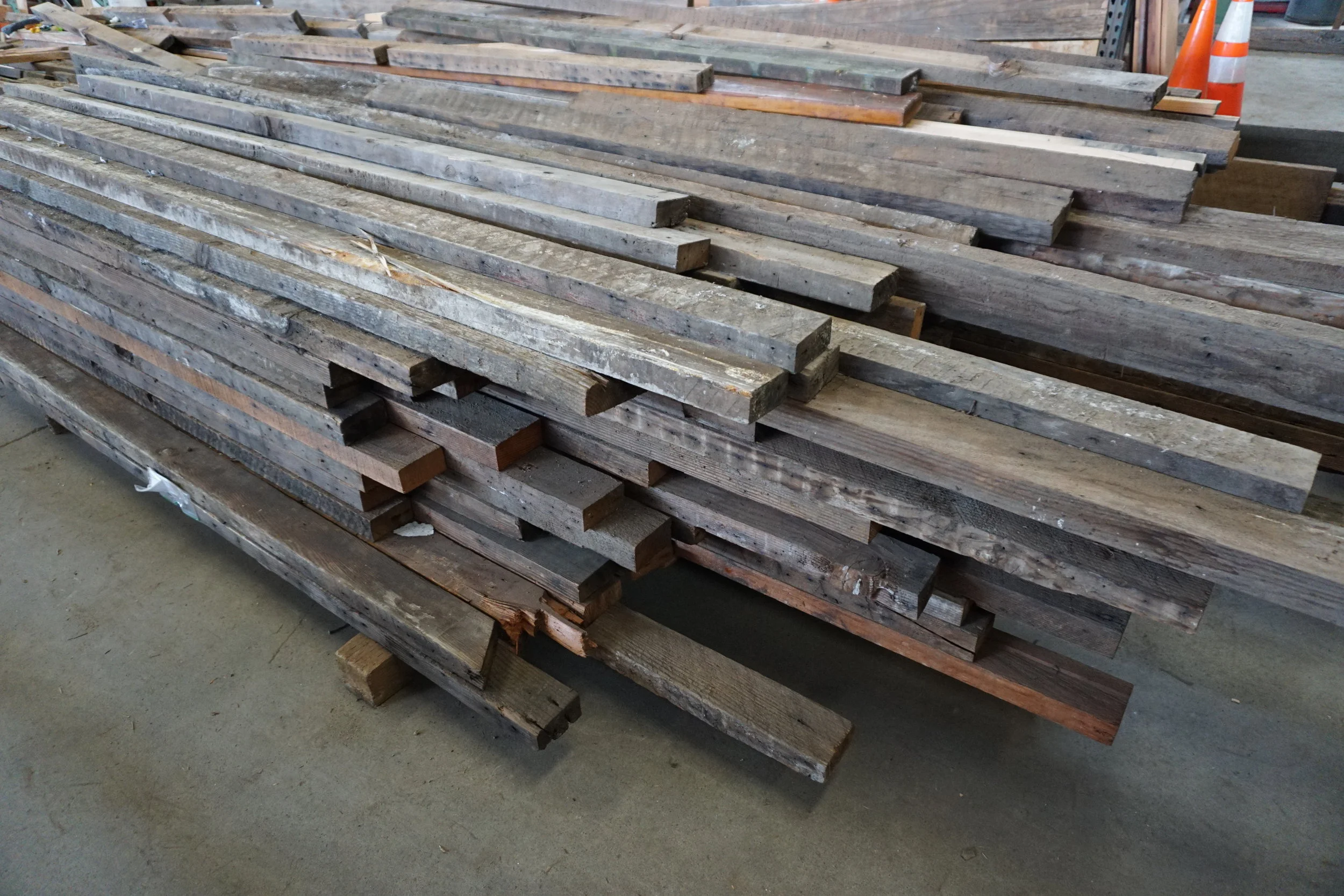 Today's Finds: Summer 2019