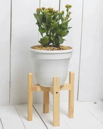 Plant Stands
