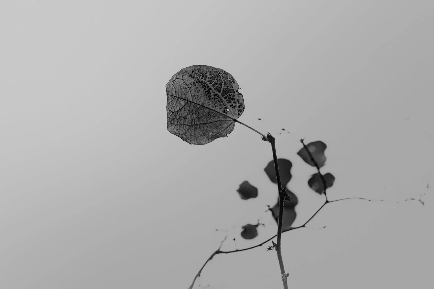 What's Missing is the Point