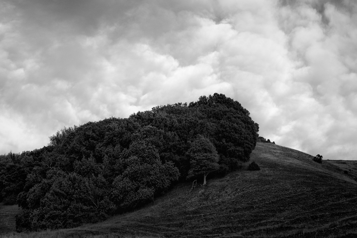 Hillside and Clouds