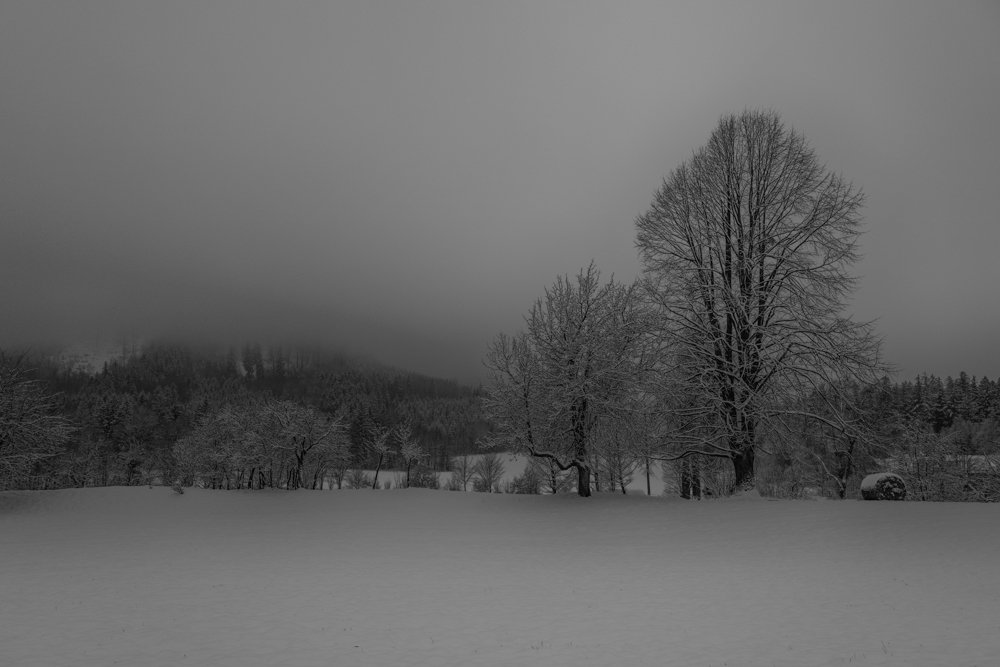 Winter Twilight