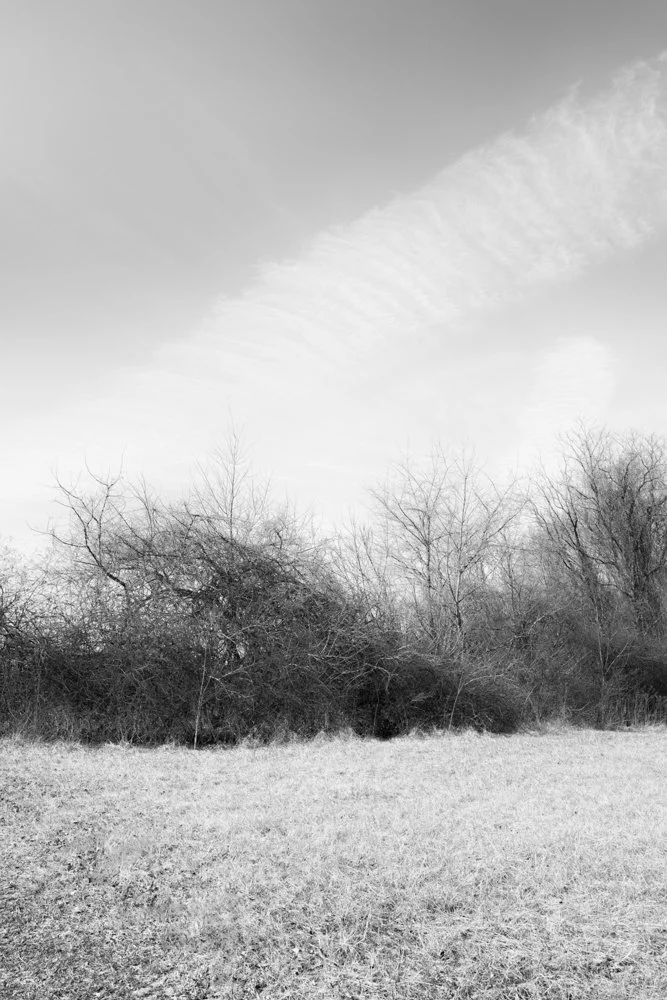 Bright Clouds in the Distant Sky