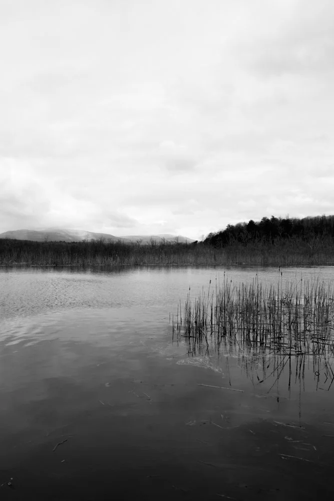 Early Spring, Snowy Peaks