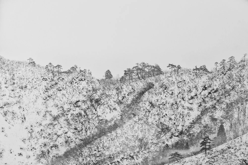 Snow Mountain with Trees