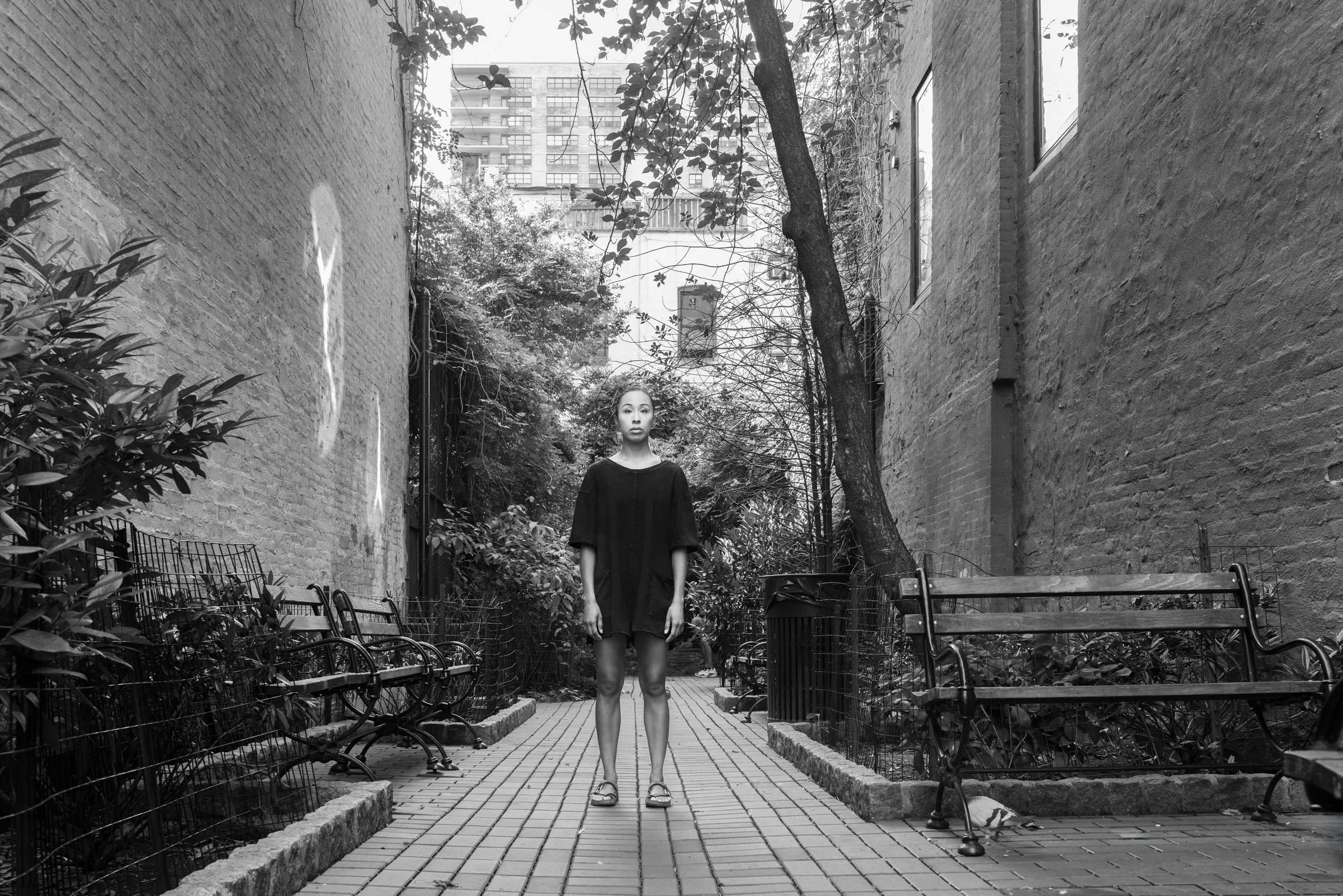 Dancer, Pigeon, Trees, Bricks