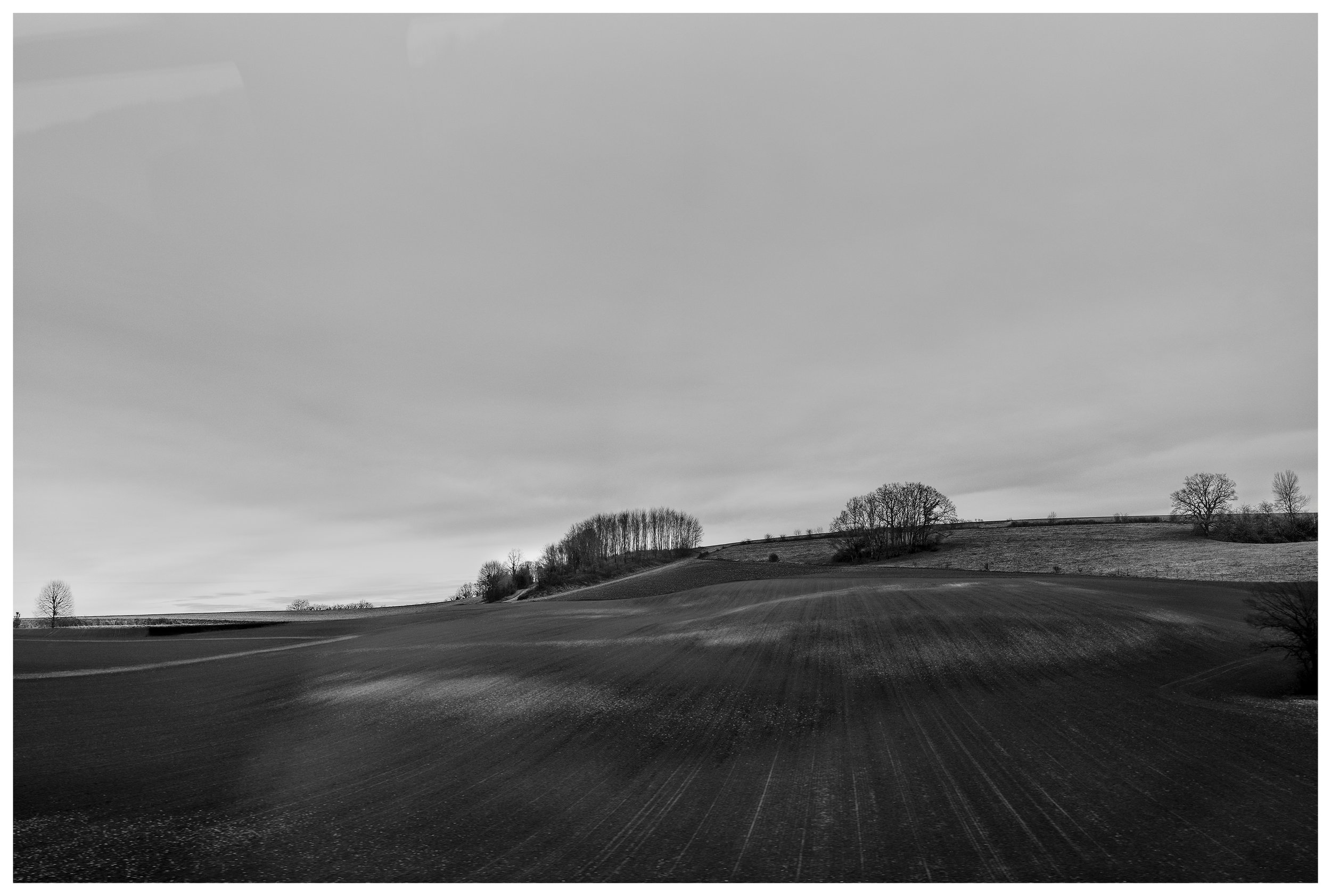 Velvety Winter