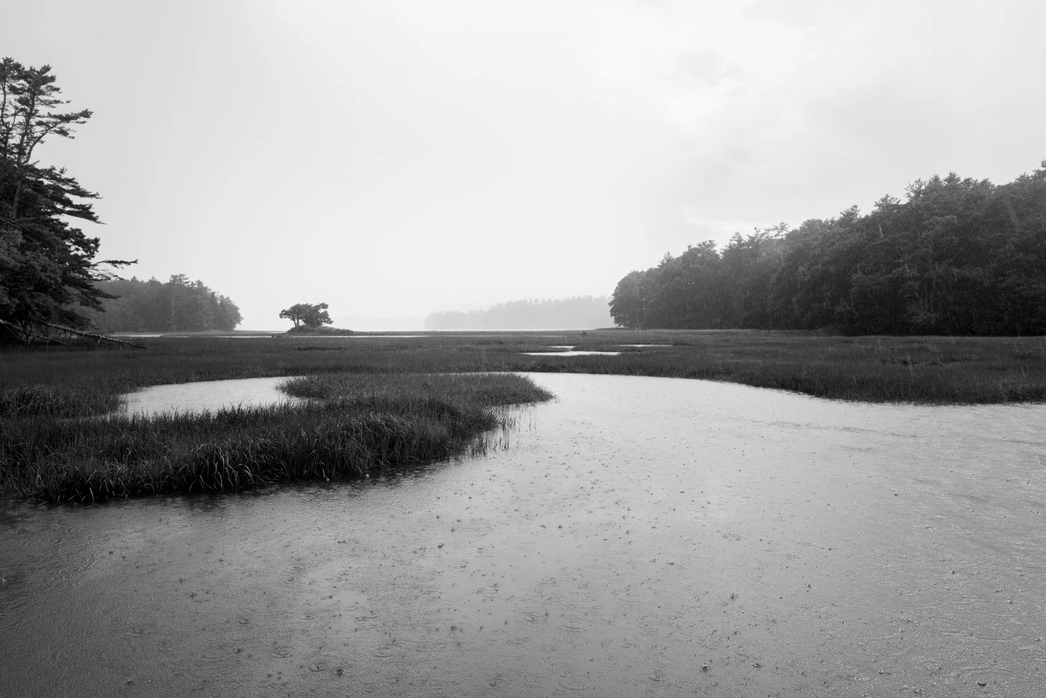 Summer Rain