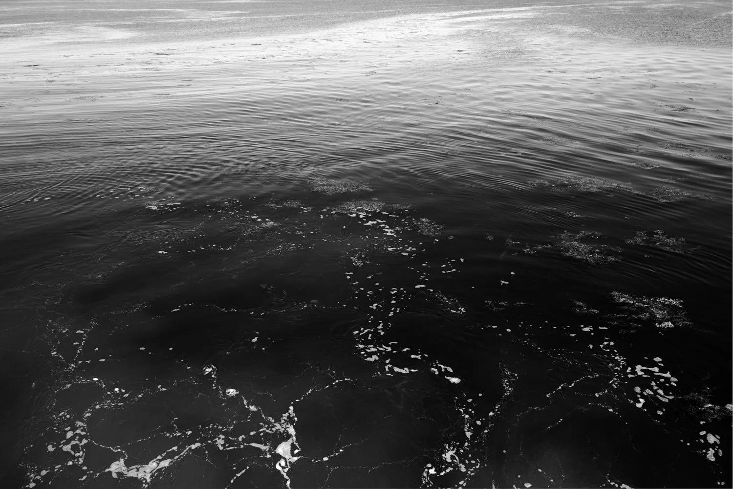 Fore River Swirl