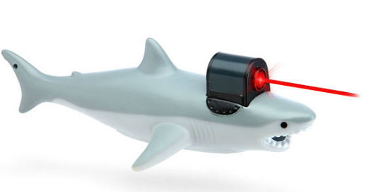 Shark-With-Frickin-Laser-Pointer.jpg