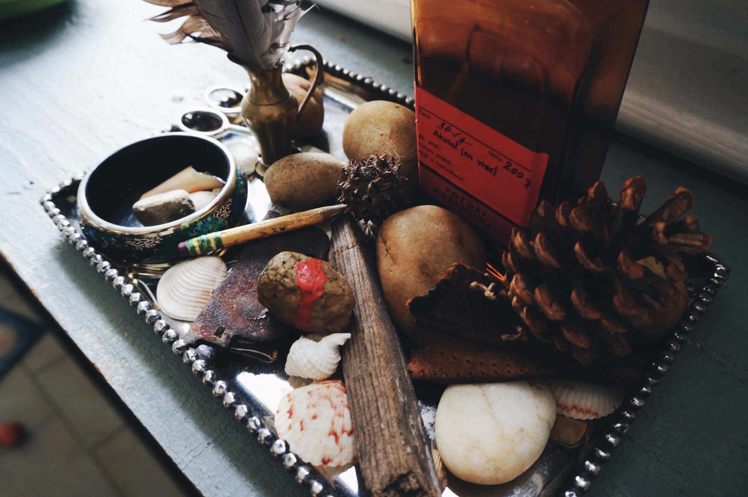 DSC02750 (Priime Minimal).jpeg