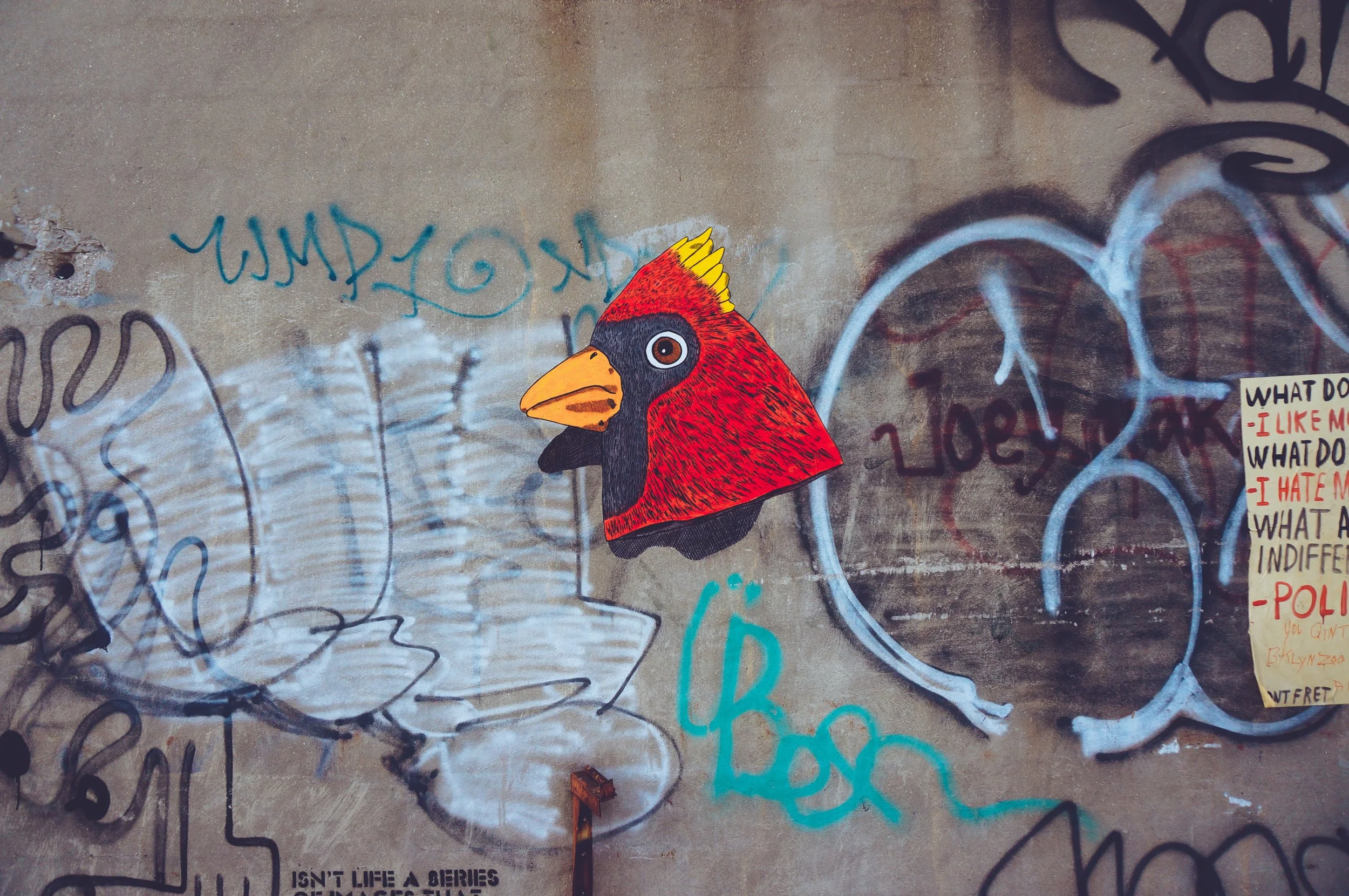 DSC03051 (Priime Transcend).jpeg