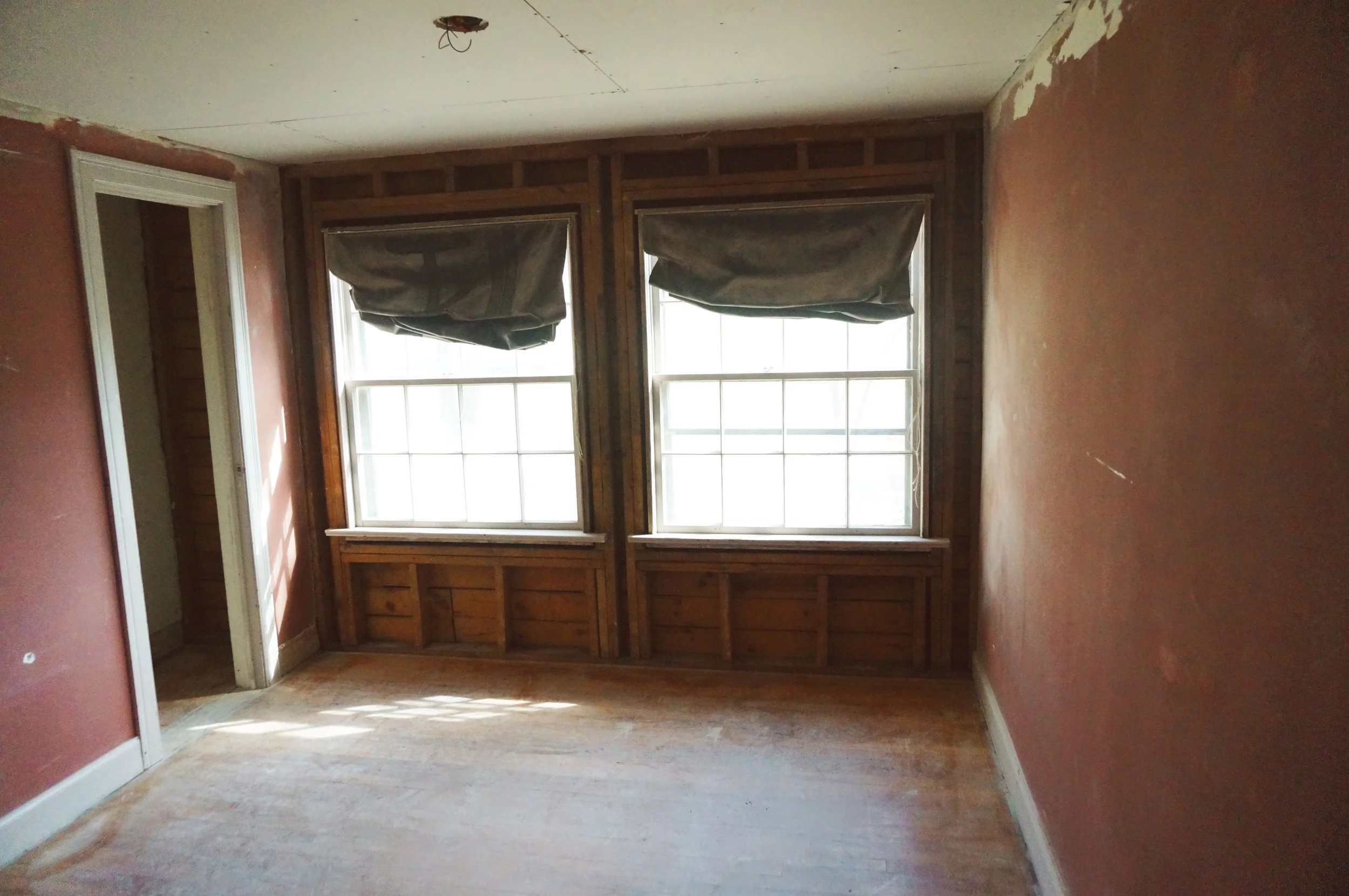 DSC03535 (Priime Longhorn).jpeg