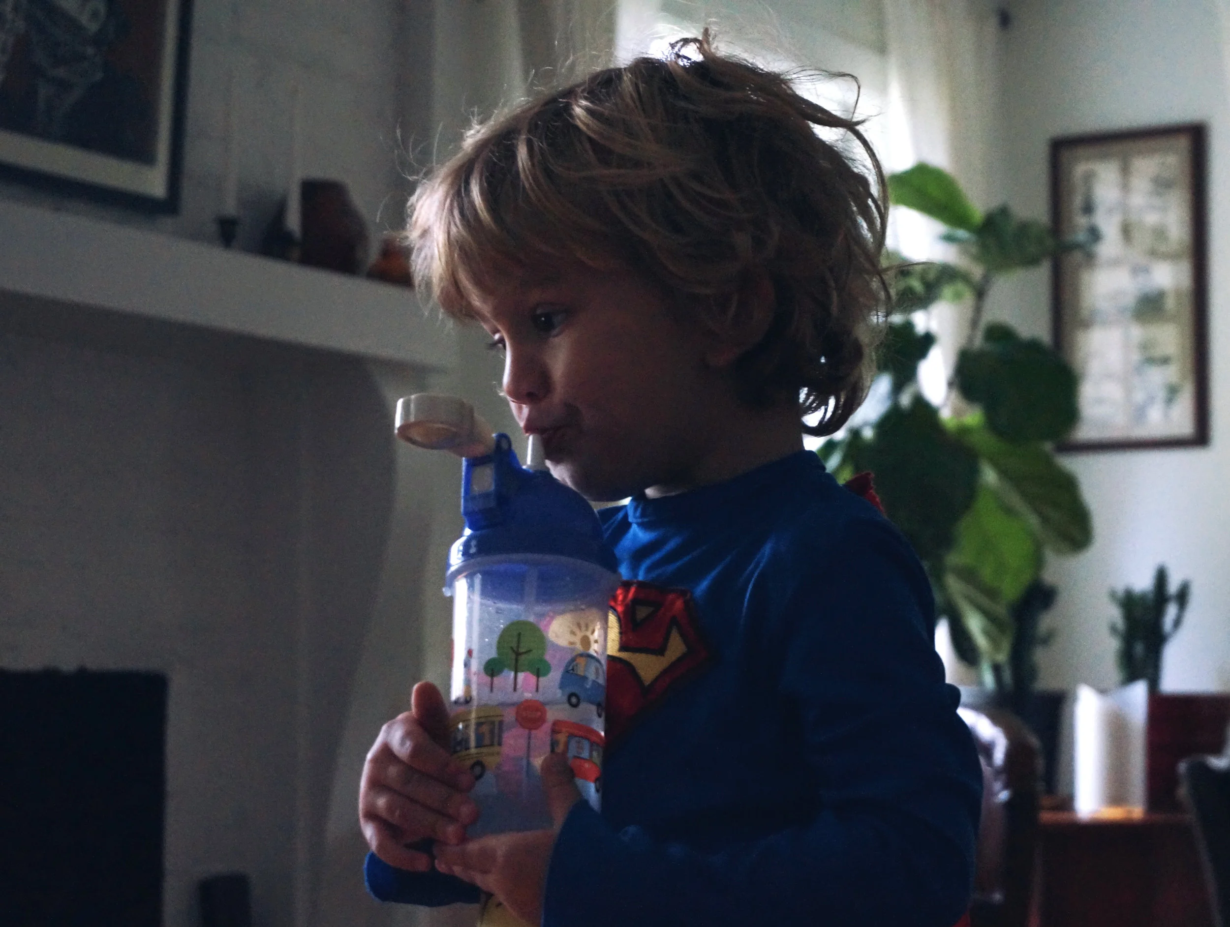 DSC04526 (Priime Modern).jpeg