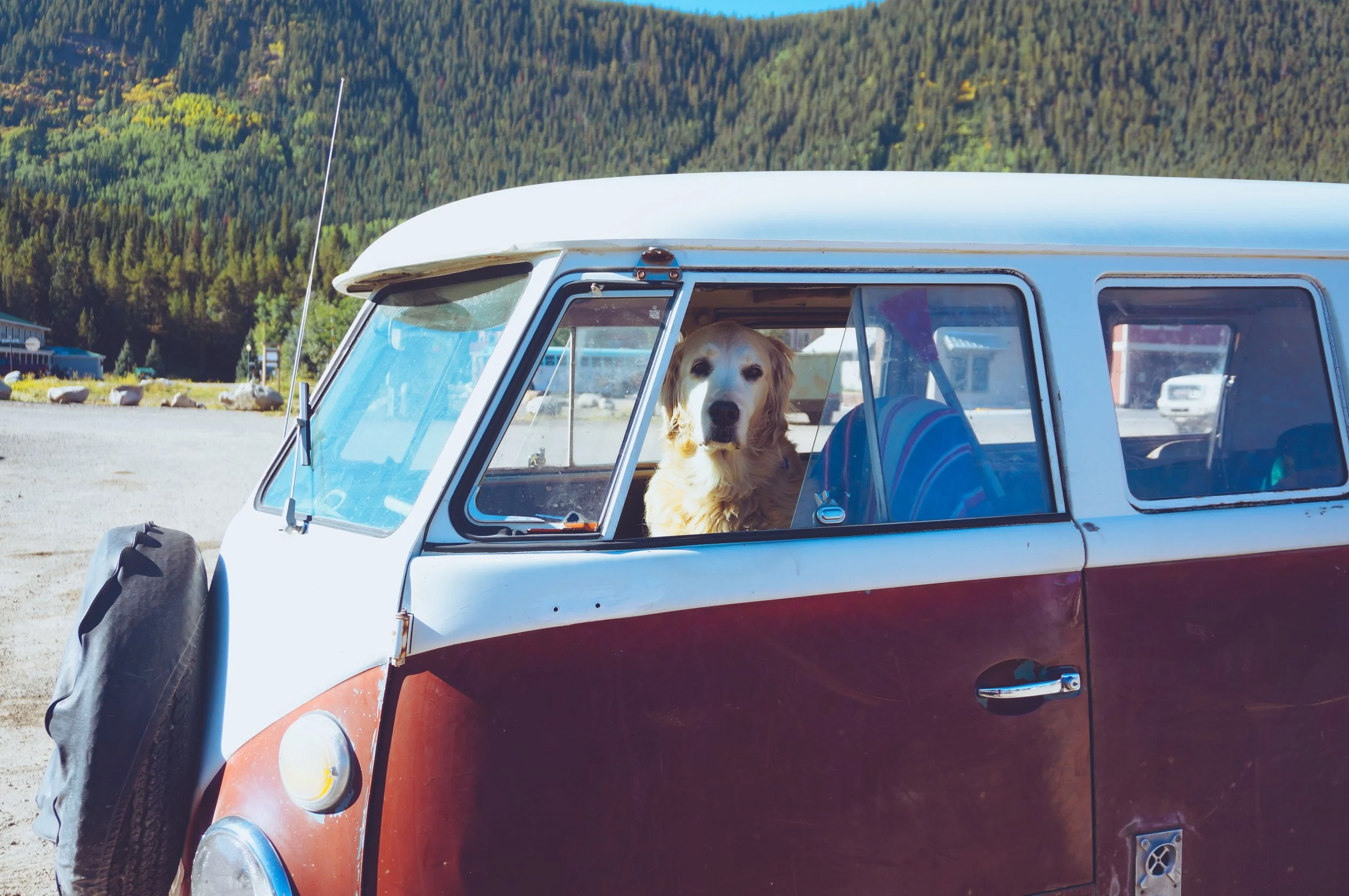 DSC04697 (Priime Transcend).jpeg