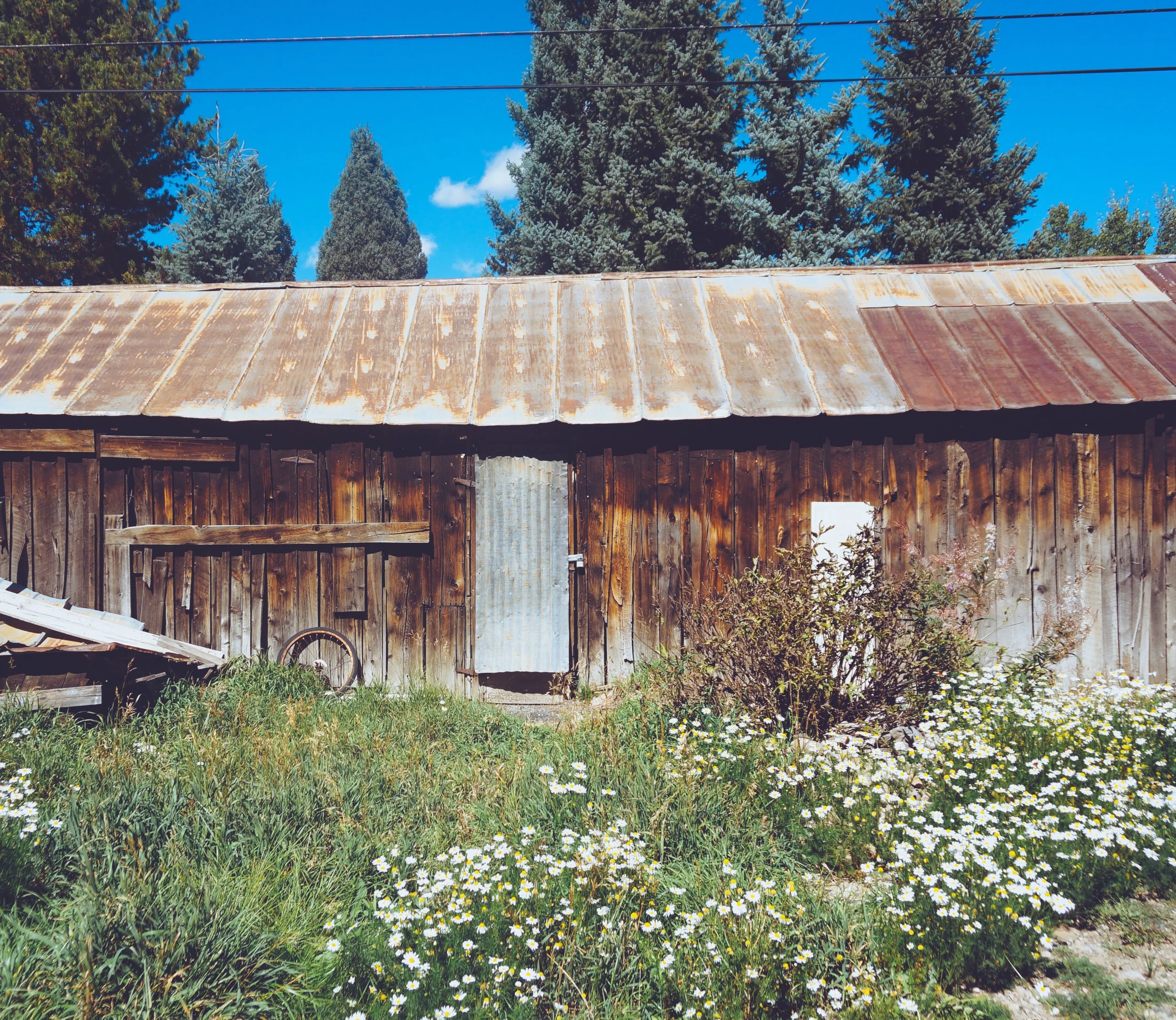 DSC04781 (Priime Transcend).jpeg