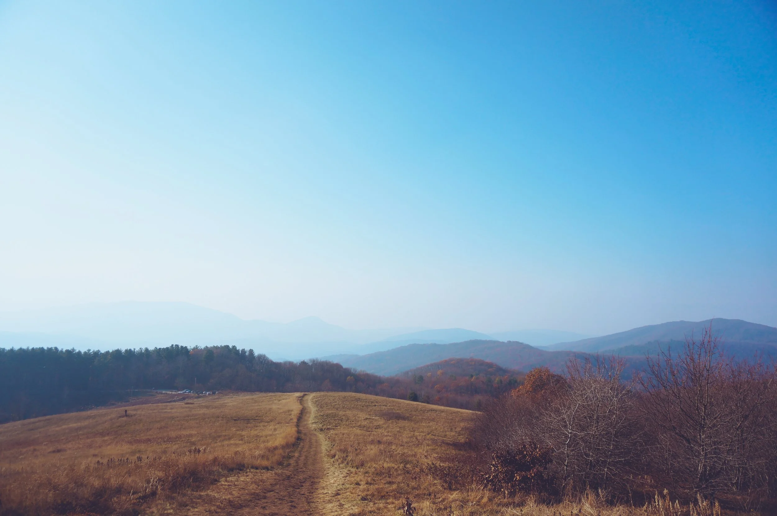 DSC05431 (Priime Transcend).jpeg