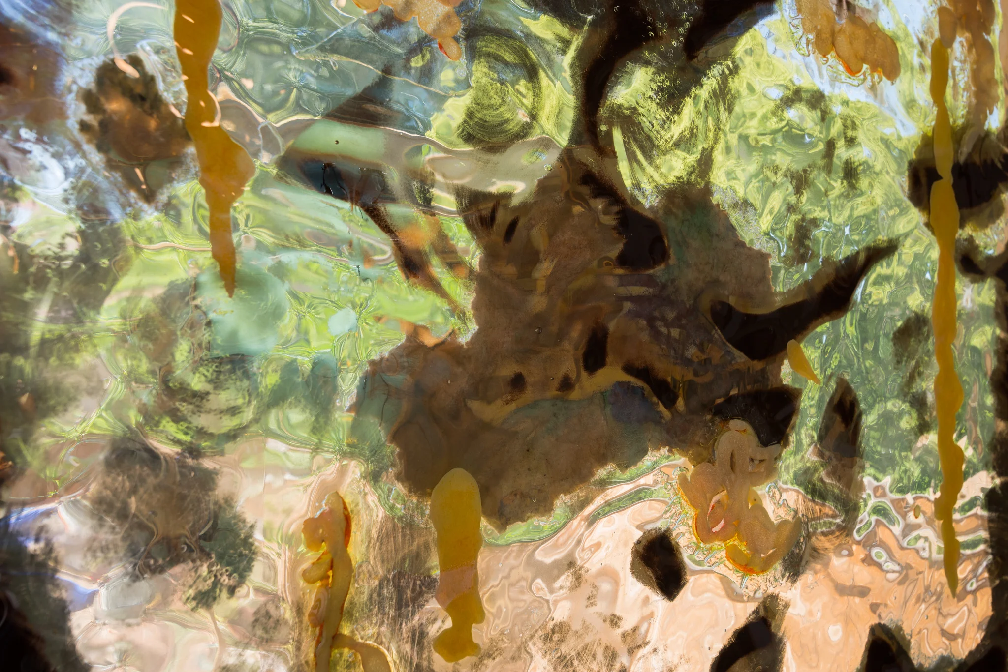 Fleurette West 4 Web Use (13 of 26).jpg